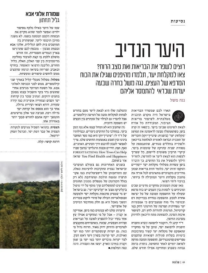 Lodge אחוזת בריאות וים Health And Sea Forest Resort Haïfa Israël